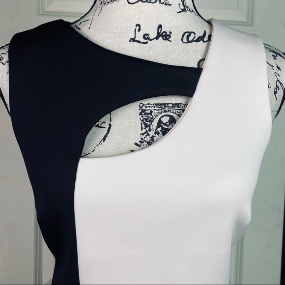 Calvin Klein Color-block Cut-Out Sheath Dress - Picture 3 of 5